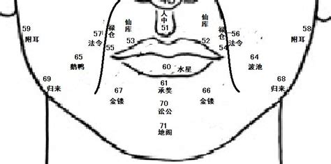 鼻子面相学|麦玲玲面相讲座之 鼻子 – 人相学